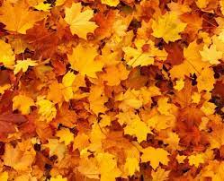 herfst